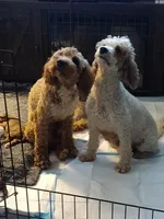 processed/cdcf9164-69ff-4e42-81f1-e6caf4337469/facility/9326fb82-cc76-412a-9c81-c36cfb337916