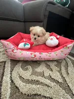 processed/cdd28a9a-f041-46e8-a228-404c255d1fc4/listing/5c14c110-f119-435b-8f09-6305be674198/121ee96c-9788-4801-81ef-a8ab44c0f6a4