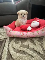 processed/cdd28a9a-f041-46e8-a228-404c255d1fc4/listing/5c14c110-f119-435b-8f09-6305be674198/30227723-4dcb-4c3c-a50f-1024f397bb3e