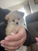 processed/cdd28a9a-f041-46e8-a228-404c255d1fc4/listing/5c14c110-f119-435b-8f09-6305be674198/8883e3aa-42e4-4b8d-992a-88e01843abab