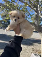 processed/cdd28a9a-f041-46e8-a228-404c255d1fc4/listing/5c14c110-f119-435b-8f09-6305be674198/c7330343-5a76-48e0-872e-97fbaaa32c3f