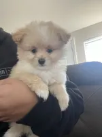 processed/cdd28a9a-f041-46e8-a228-404c255d1fc4/listing/5c14c110-f119-435b-8f09-6305be674198/cc8a8294-a0b9-4d03-8bc5-50a0b9dc588e