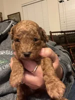 processed/cdd28a9a-f041-46e8-a228-404c255d1fc4/listing/8a929958-343d-4584-8048-7a9389806c99/0b53ff36-f900-4f82-83de-5acc513be427