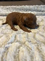 processed/cdd28a9a-f041-46e8-a228-404c255d1fc4/listing/8a929958-343d-4584-8048-7a9389806c99/788de1e8-6bee-4c3a-94ea-d33b531853e3