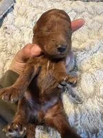 processed/cdd28a9a-f041-46e8-a228-404c255d1fc4/listing/8a929958-343d-4584-8048-7a9389806c99/e54c1967-6bf2-4c13-84a7-783806074327