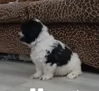 processed/cddde5ef-47b0-4115-a4a7-d7a79e13a169/listing/d6b32df8-6391-408b-9c0c-43af57040c75/102e455b-53d6-431a-bb0e-768ab38f1512