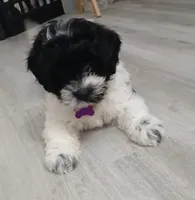 processed/cddde5ef-47b0-4115-a4a7-d7a79e13a169/listing/d6b32df8-6391-408b-9c0c-43af57040c75/a2434401-bfe6-44ae-a727-d7d167bdc6f6