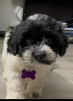 processed/cddde5ef-47b0-4115-a4a7-d7a79e13a169/listing/d6b32df8-6391-408b-9c0c-43af57040c75/dbc70a26-986b-4bcc-ad2b-a3d6e82fc1e3