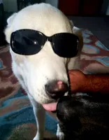 processed/cde09632-a93b-41ad-b3d3-ccd7d1809608/facility/39b59993-a33a-4132-875e-a5bd9481e526