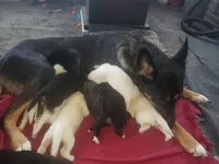 processed/cde09632-a93b-41ad-b3d3-ccd7d1809608/facility/460b6423-0db5-48b0-9012-834ada468363