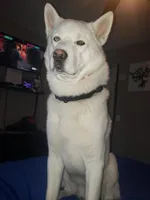 processed/cde09632-a93b-41ad-b3d3-ccd7d1809608/facility/a31d58fe-3a1f-4412-8ae0-7287b23bdd14