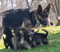 processed/cde09632-a93b-41ad-b3d3-ccd7d1809608/facility/aa4df41f-3170-4747-bd7d-ec6ea1de2c6b