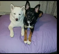 processed/cde09632-a93b-41ad-b3d3-ccd7d1809608/facility/ba34ad42-98f6-4f08-9f60-87ad9b551e29