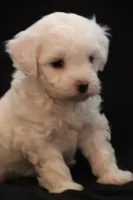 processed/cde7c598-5765-4f80-8fea-11a53d05ebc4/listing/0595162a-25c6-471a-b2d4-6f07bd4957a1/2e30943f-4808-4a23-b0d7-622be9335b6c