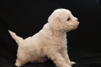 processed/cde7c598-5765-4f80-8fea-11a53d05ebc4/listing/0595162a-25c6-471a-b2d4-6f07bd4957a1/4040844b-5925-403f-985c-c89ab27084dc