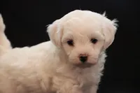 processed/cde7c598-5765-4f80-8fea-11a53d05ebc4/listing/0595162a-25c6-471a-b2d4-6f07bd4957a1/488de7af-2d87-4362-b08e-3a8784b3c8d7