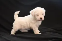 processed/cde7c598-5765-4f80-8fea-11a53d05ebc4/listing/0595162a-25c6-471a-b2d4-6f07bd4957a1/5f8dc23f-c68f-48d9-873a-5dfd347857b6