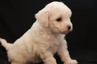 processed/cde7c598-5765-4f80-8fea-11a53d05ebc4/listing/0595162a-25c6-471a-b2d4-6f07bd4957a1/8774fa74-c23e-4491-bd36-4352deaedd07