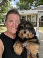 EDDIE, a male Maltipoo for sale in Chouteau, OK – 2 of 9
