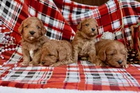 processed/cde7c598-5765-4f80-8fea-11a53d05ebc4/listing/2eca896a-64f8-4a7d-bdbb-3a49b1d5b3a9/118bb337-22ac-40b0-8373-f5bfa2b93051