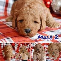 processed/cde7c598-5765-4f80-8fea-11a53d05ebc4/listing/2eca896a-64f8-4a7d-bdbb-3a49b1d5b3a9/2870f32a-1fad-4b13-959f-f82e331cc70a