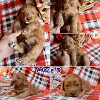 processed/cde7c598-5765-4f80-8fea-11a53d05ebc4/listing/2eca896a-64f8-4a7d-bdbb-3a49b1d5b3a9/4aaa7e95-4f18-4733-af84-f80c0b26b206