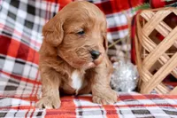 processed/cde7c598-5765-4f80-8fea-11a53d05ebc4/listing/2eca896a-64f8-4a7d-bdbb-3a49b1d5b3a9/6584a03a-4997-4b2c-8db4-617af94fbad8