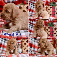 processed/cde7c598-5765-4f80-8fea-11a53d05ebc4/listing/2eca896a-64f8-4a7d-bdbb-3a49b1d5b3a9/8949dfeb-aa78-4f3e-ac3a-734b891f15df