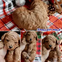 processed/cde7c598-5765-4f80-8fea-11a53d05ebc4/listing/2eca896a-64f8-4a7d-bdbb-3a49b1d5b3a9/b4e5bf4c-2fe2-4e23-9d94-636331ea2882