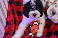 processed/cde7c598-5765-4f80-8fea-11a53d05ebc4/listing/3a3cd429-de43-470d-821d-b7f802fe875f/09291c27-8840-40b9-9b9d-96ca9e38ca4a