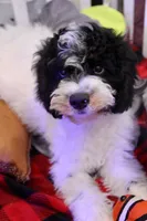 processed/cde7c598-5765-4f80-8fea-11a53d05ebc4/listing/3a3cd429-de43-470d-821d-b7f802fe875f/59b3d72d-3af6-4e20-8ebe-3ebef1a6623a