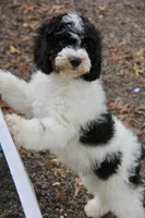 processed/cde7c598-5765-4f80-8fea-11a53d05ebc4/listing/3a3cd429-de43-470d-821d-b7f802fe875f/70f39844-9107-4961-b61a-a386ac67c3e7