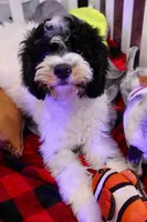 processed/cde7c598-5765-4f80-8fea-11a53d05ebc4/listing/3a3cd429-de43-470d-821d-b7f802fe875f/8bb97fa7-22b5-48d7-9248-38bf78c69a86