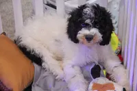 processed/cde7c598-5765-4f80-8fea-11a53d05ebc4/listing/3a3cd429-de43-470d-821d-b7f802fe875f/c23cbf81-b727-4e6e-9440-d8c0c640e9b2