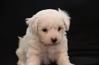 processed/cde7c598-5765-4f80-8fea-11a53d05ebc4/listing/71eca9f0-0da0-4c18-9227-144cbcff81a0/0d66680e-fa11-409c-894d-7b395d45a129