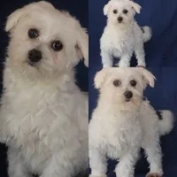 processed/cde7c598-5765-4f80-8fea-11a53d05ebc4/listing/71eca9f0-0da0-4c18-9227-144cbcff81a0/5f34c3d1-46ee-439f-b6a7-25a109b14fab