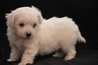 processed/cde7c598-5765-4f80-8fea-11a53d05ebc4/listing/71eca9f0-0da0-4c18-9227-144cbcff81a0/d35c5cac-4210-410c-b856-dbd5eef2dcf5