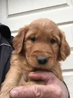 processed/cdfee094-6858-4b03-9bd7-ec1e4bd92d65/listing/e646535c-3e14-4832-bd77-f2320eb68285/5f7b8fc1-3c58-4b54-971f-35973dfb26e7