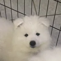 processed/ce01f133-df0a-4e25-94d1-cfb223c859dc/facility/057b1dc5-de7d-427e-b126-ef0fa482049e