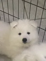 processed/ce01f133-df0a-4e25-94d1-cfb223c859dc/facility/057b1dc5-de7d-427e-b126-ef0fa482049e