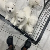 processed/ce01f133-df0a-4e25-94d1-cfb223c859dc/facility/1ee45694-f73b-4709-b8e9-f3df335b74d0