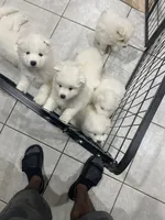 processed/ce01f133-df0a-4e25-94d1-cfb223c859dc/facility/1ee45694-f73b-4709-b8e9-f3df335b74d0