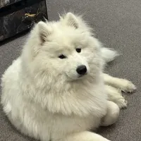 processed/ce01f133-df0a-4e25-94d1-cfb223c859dc/facility/326c196c-ec4d-4763-9077-1aa81e860998