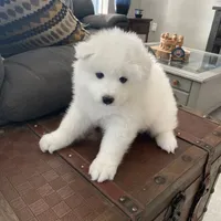 processed/ce01f133-df0a-4e25-94d1-cfb223c859dc/facility/7ab86a15-dd3a-4f3d-be52-5d24de25a4cc