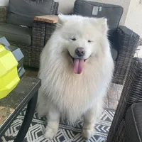 processed/ce01f133-df0a-4e25-94d1-cfb223c859dc/facility/bab4b370-c886-43d8-89b0-c8fe59100176