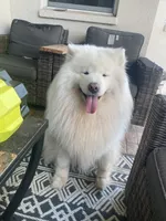 processed/ce01f133-df0a-4e25-94d1-cfb223c859dc/facility/bab4b370-c886-43d8-89b0-c8fe59100176