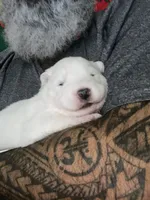 processed/ce01f133-df0a-4e25-94d1-cfb223c859dc/listing/324c7570-8263-4e91-b3ec-44d10cc299be/555c7c54-b45d-406e-8579-7c0b299a6f01