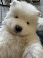 processed/ce01f133-df0a-4e25-94d1-cfb223c859dc/listing/324c7570-8263-4e91-b3ec-44d10cc299be/759dd9a8-a966-4fae-a436-3d0e5033376b