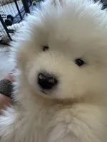 processed/ce01f133-df0a-4e25-94d1-cfb223c859dc/listing/324c7570-8263-4e91-b3ec-44d10cc299be/b73933bf-d2da-4d2a-aa68-ea40c93301db