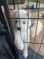 processed/ce01f133-df0a-4e25-94d1-cfb223c859dc/listing/324c7570-8263-4e91-b3ec-44d10cc299be/cb61c57d-c9e7-4885-822f-6eb165082640